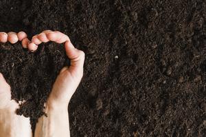 Piccolo terreno per orto