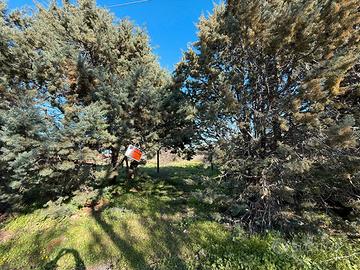 Terreno non edificabile