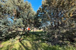 Terreno non edificabile