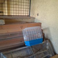 gabbie per uccelli e cocorite 