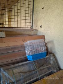 gabbie per uccelli e cocorite 