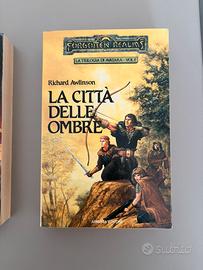 Dungeons & Dragons - Trilogia degli Avatara