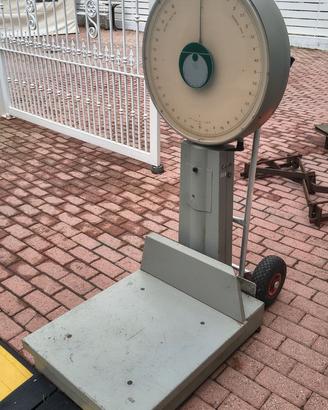 Bilancia pesa professionale bilici 40kg