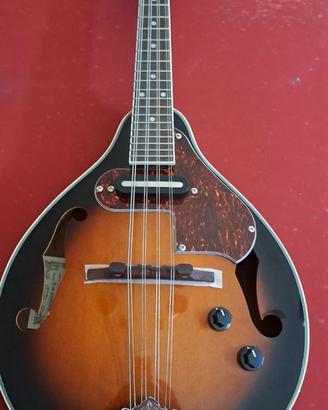 Mandolino Ibanez M510E A-style elettroacustico
