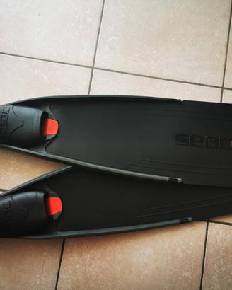 pinne seac motus 38