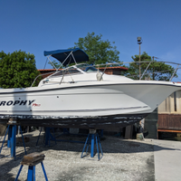 Bayliner Trophy 2102 WA