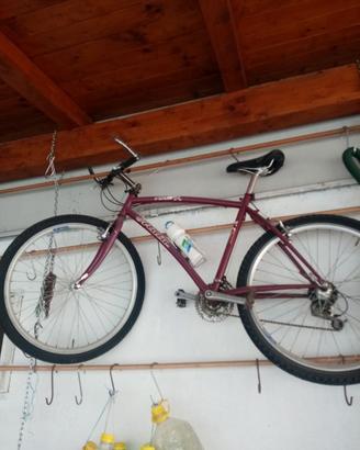 Bici Atala