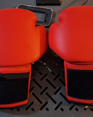 guantoni boxing