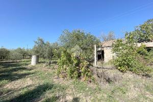 TER. AGRICOLO A VASTO