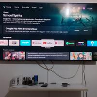 TV 65 pollici Zephir