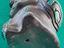 Immagine 5