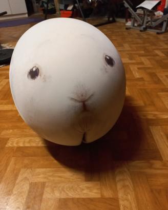 Pouf Baleri Italia
