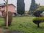 Immagine 11