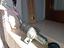 Immagine 2