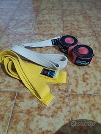 Polsiere box e cinte arti marziali