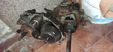 carter piaggio