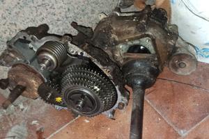carter piaggio