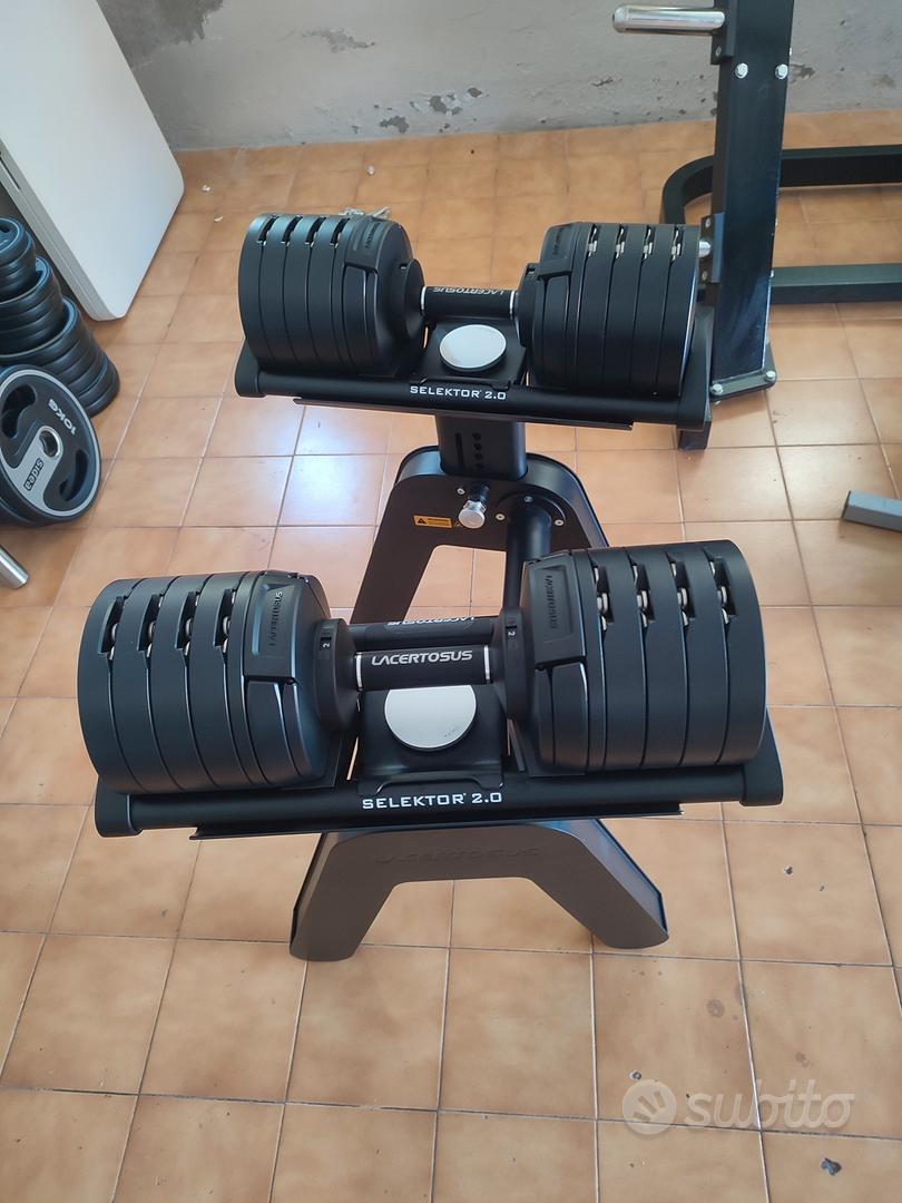 lacertosus manubri 2.0 panca palestra leggere