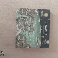 due CD e un DVD Ligabue giro del mondo