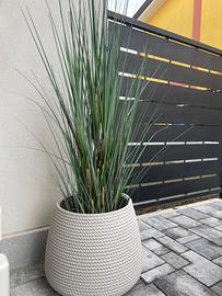 Vasi / piante arredo esterno