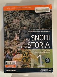 Gli Snodi della Storia - Vol. 1