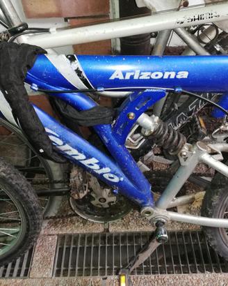 Mountain-bike 