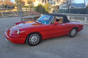 Alfa duetto spider