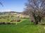 Immagine 12