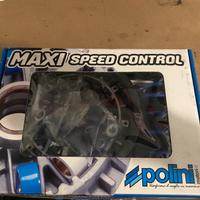 Variatore POLINI T MAX 500