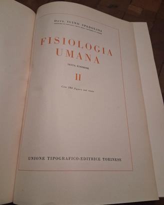 Fisiologia umana, anno 1958