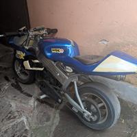 minimoto 