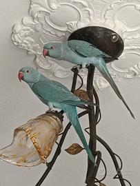 Due pappagalli parrocchetti blu