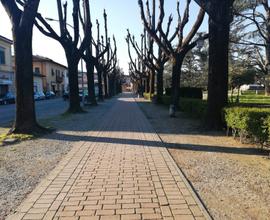 Borgo S Lorenzo fondo 35 vetrina su strada