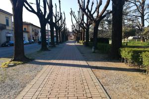 Borgo S Lorenzo fondo 35 vetrina su strada