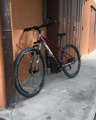 Mtb Bh spike 1 29 pollici tg s
