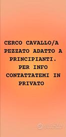 C é r c a s i cavallo pezzato