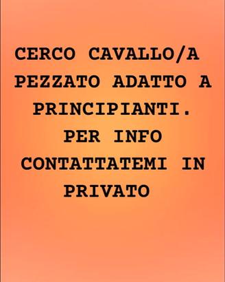 C é r c a s i cavallo pezzato