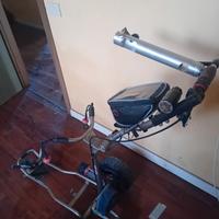 carello golf elettrico
