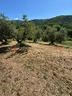 terreno-agricolo-pistoia-cod-rif-3232655vcg-