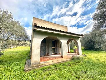Ulivetto Fabricato e Pozzo Artesiano