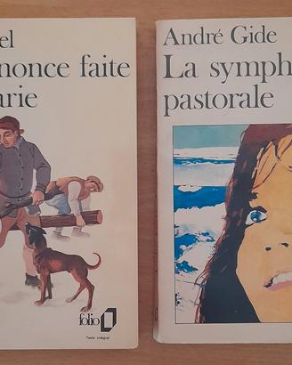 Libri classici francesi collection Folio