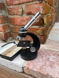Microscopio
