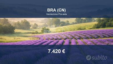 Immobile in asta di 12211 m² a Bra