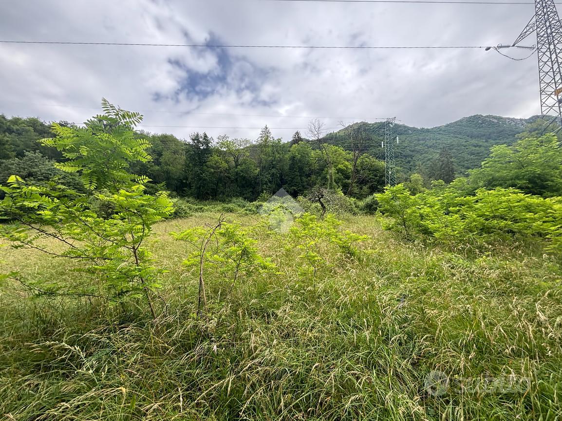TER. AGRICOLO A BELLUNO - Altro