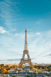 Lezioni online di francese tutti i livelli 12 euro