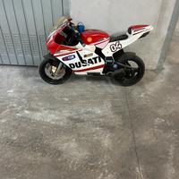 Ducati gp14