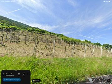 Terreno agricolo soleggiato a Tesimo