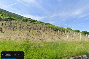 Terreno agricolo soleggiato a Tesimo