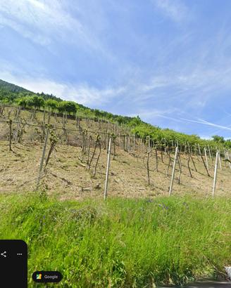 Terreno agricolo soleggiato a Tesimo