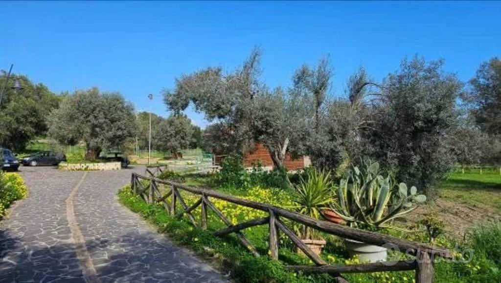 Immobile in asta di 432 m² a Portigliola - Vista 5
